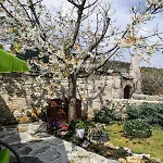 Cosy 4bedrooms House Ruska - * Dol (Hvar)