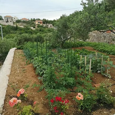 Cosy 4bedrooms House Ruska - Dol (Hvar)